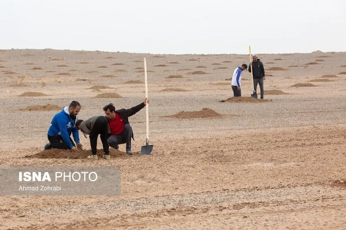 (تصاویر) کاشت نهال برای بیابان زدایی در قم