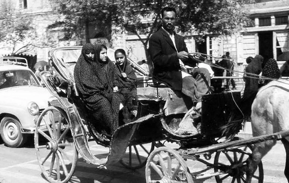درشکه سواری مجانی با چاشنی شلاق خوردن