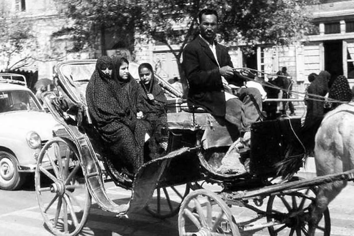 درشکه سواری مجانی با چاشنی شلاق خوردن