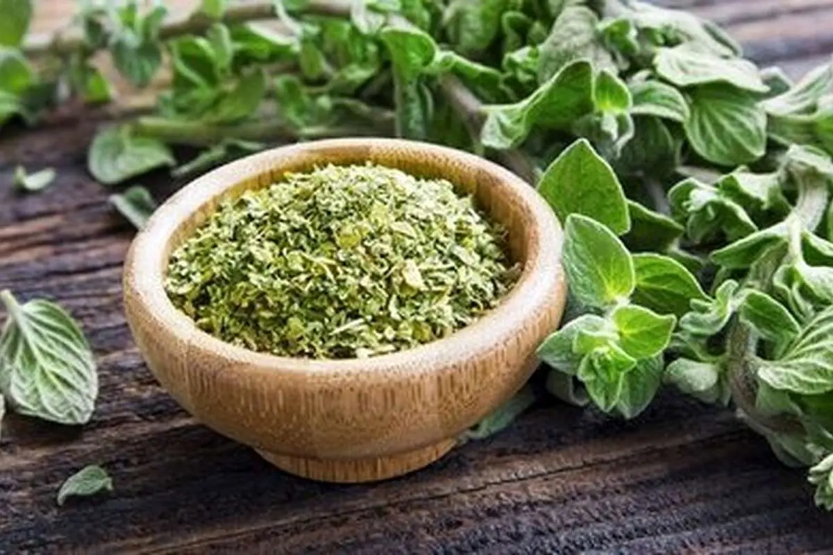 اگر ورم معده یا روده دارید، این گیاه خوشمزه را مصرف کنید