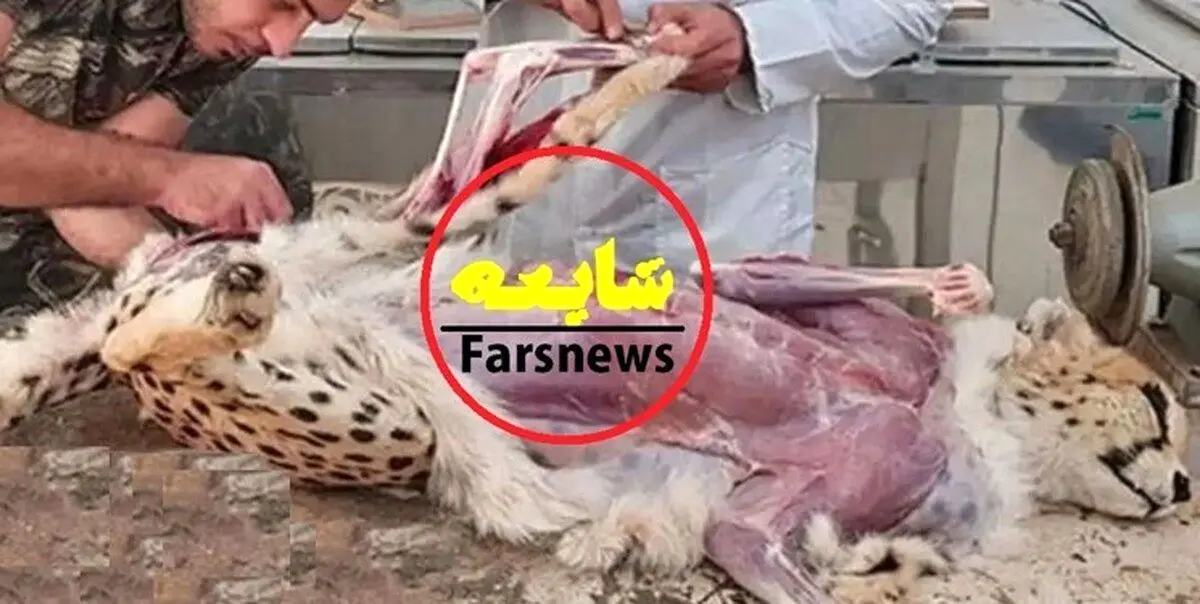 (عکس) از شایعه تا واقعیت؛ تصاویر پوست‌کندنِ «پیروز» واقعی است؟