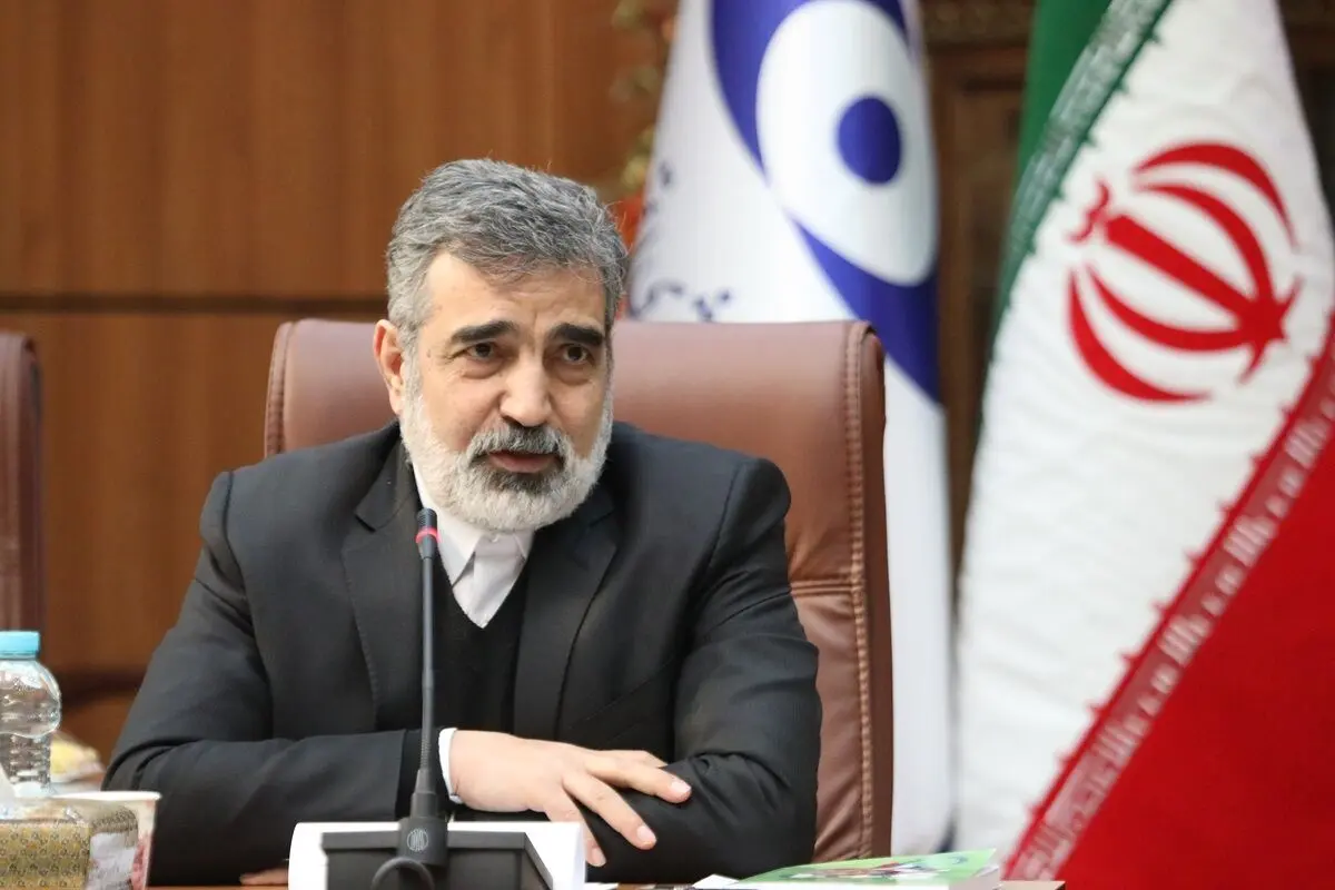 سخنگوی انرژی اتمی: دسترسی به افراد در مراکز هسته‌ای صحت ندارد