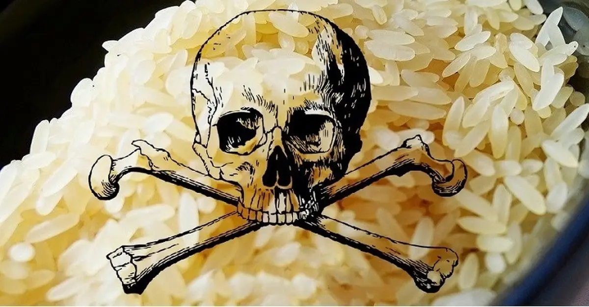 مضرات مصرف برنج آرسنیک دار چیست و آرسنیک برنج را چگونه کاهش دهیم؟