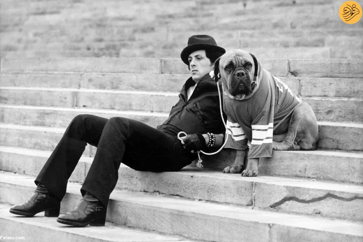 چگونه طرد شدن «سیلوستر استالونه»، «راکی» را ساخت؟