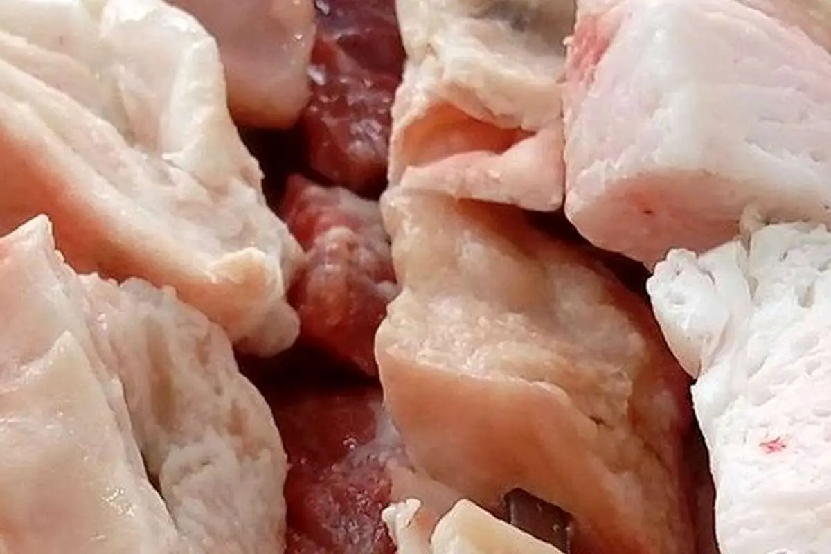 ماجرای گرانی یکباره دنبه گوسفندی چیست؟