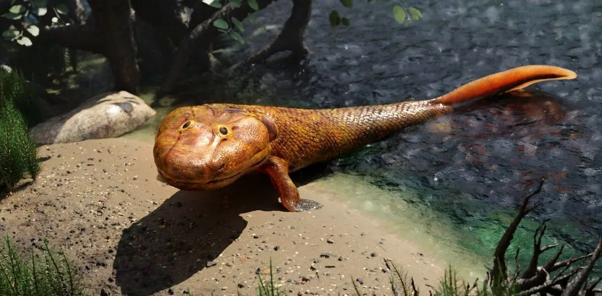 چگونه ماهی تکامل یافت تا راه برود و در یک مورد به انسان تبدیل شد؟