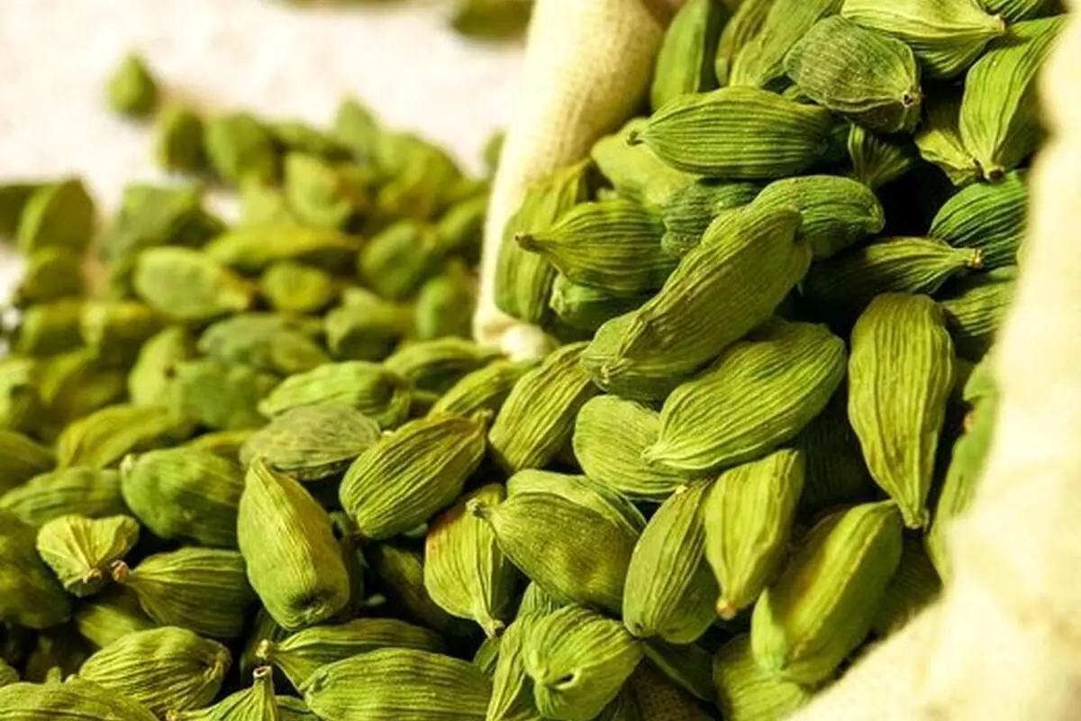 ادویه معطر با خواص اعجاب انگیز
