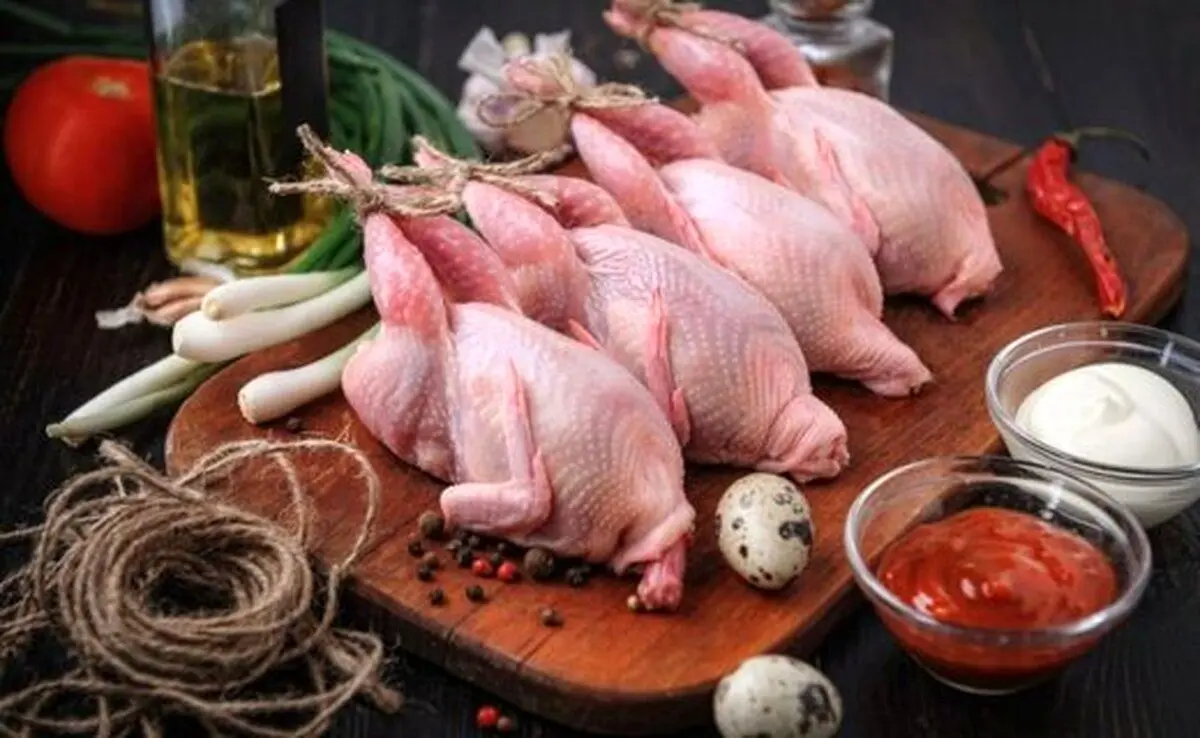 خواص شگفت‌انگیز «بلدرچین» برای سلامتی بدن