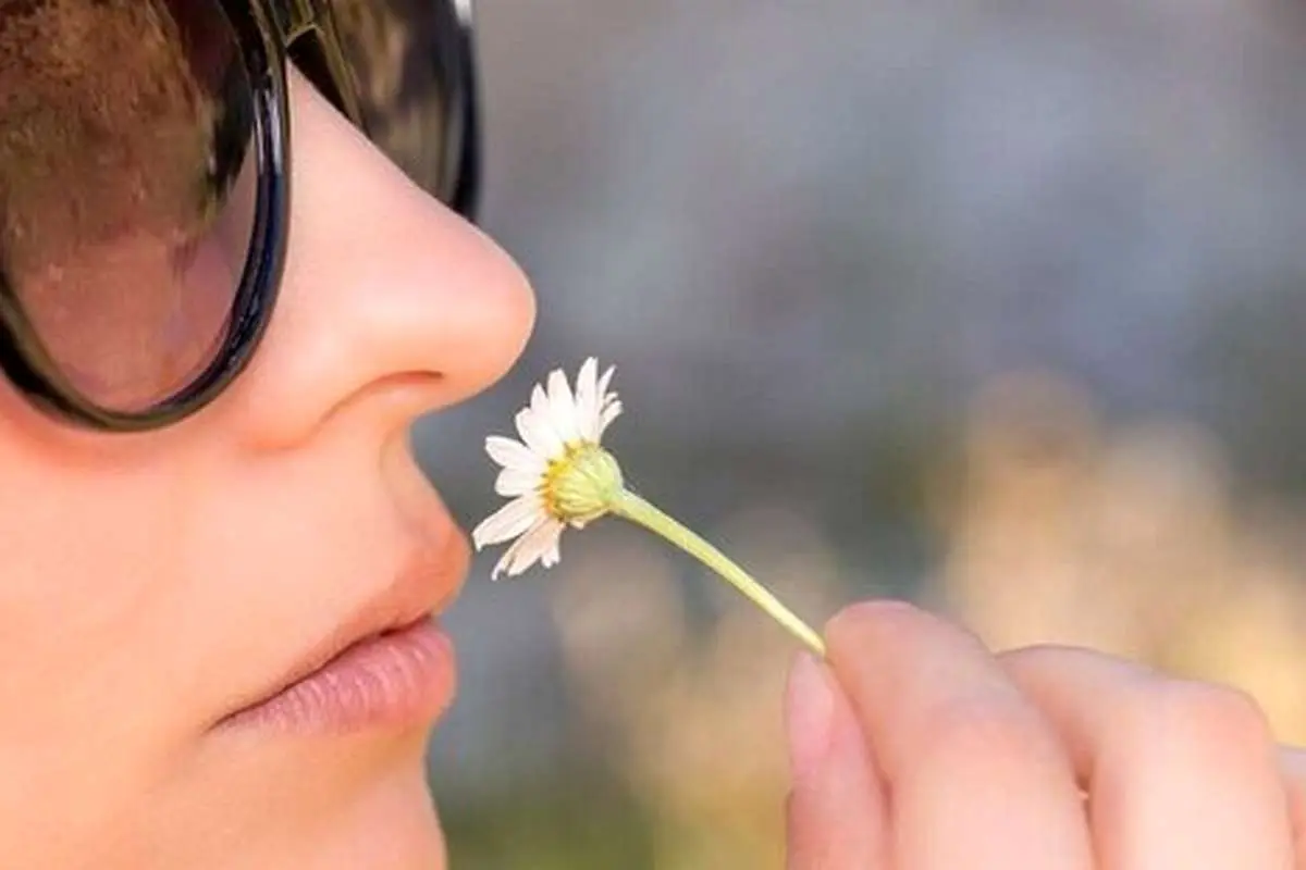 بوهای مطبوع چه تاثیری در تصمیم‌گیری دارند؟