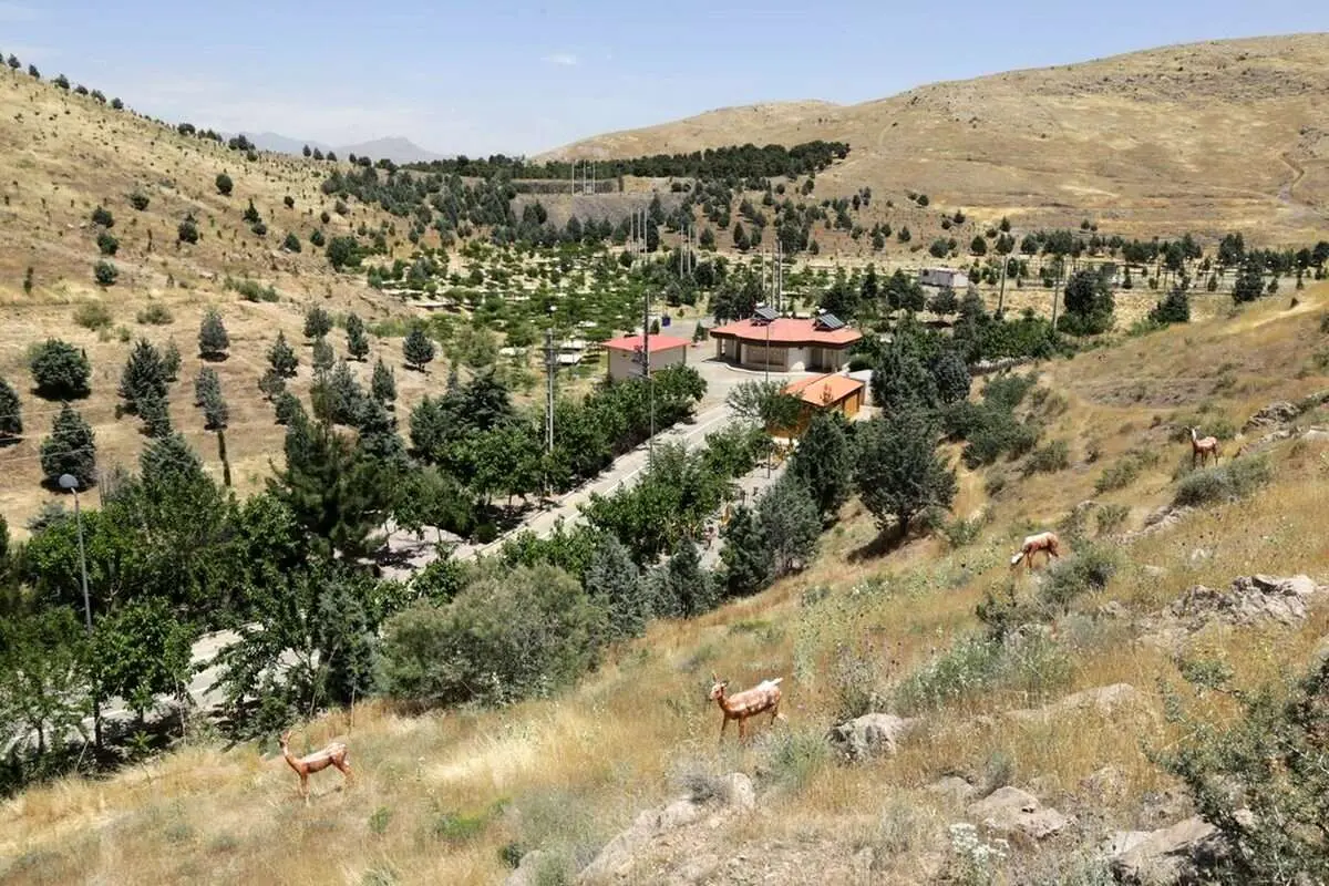 (عکس) شکارگاه دویستساله تهران؛ زیست افعی شاخدار و مار پلنگی در این بوستان