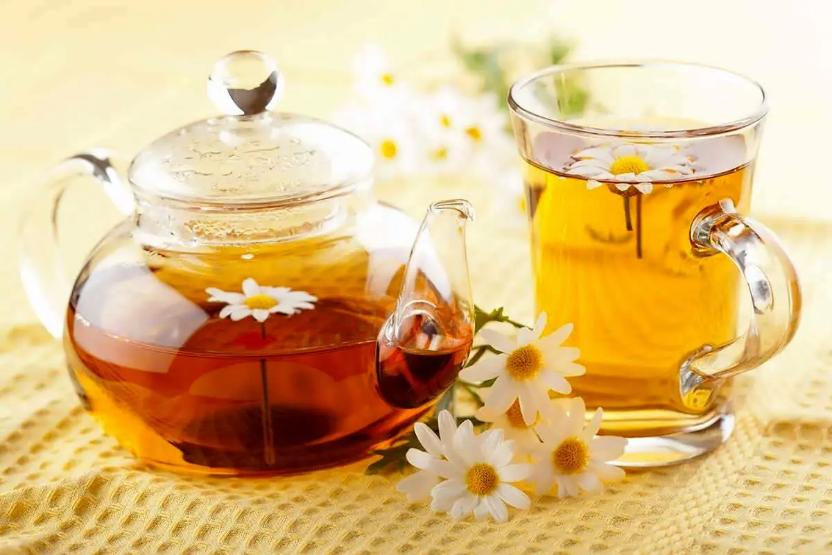 بهترین دمنوش برای سحری/ برای درمان کم آبی بدن چه بخوریم؟