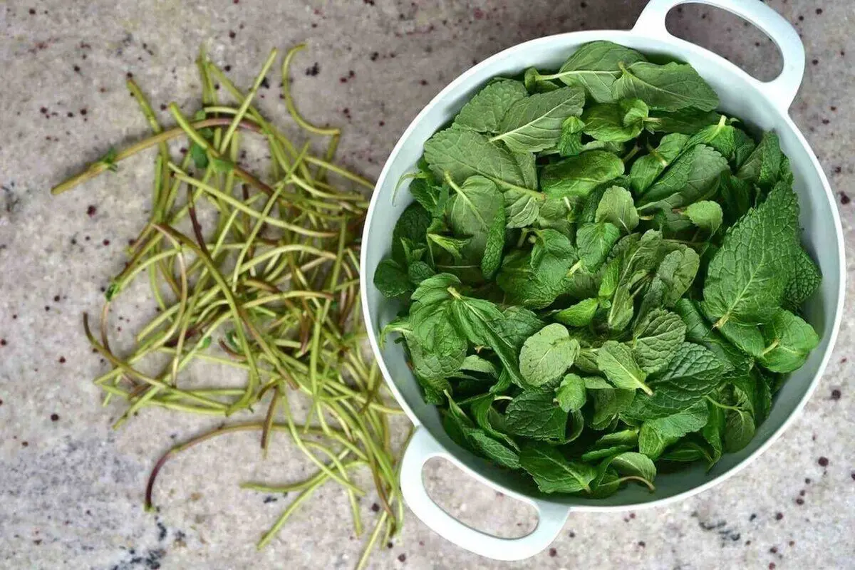 معرفی ۱۰گیاهی که حکم مسکن دارند