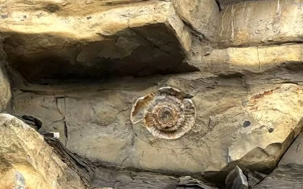 کشف شگفت انگیز پسر بچه ۹ ساله در ساحل