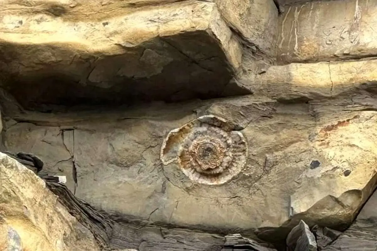 کشف شگفت انگیز پسر بچه ۹ ساله در ساحل