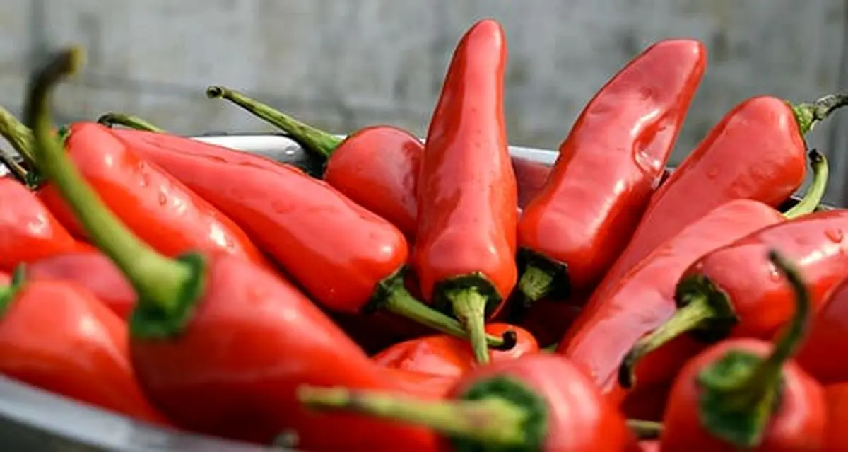 آشنایی با خواص ادویه‌ای آتشین؛ حفاظت از قلب تا سیستم گوارش