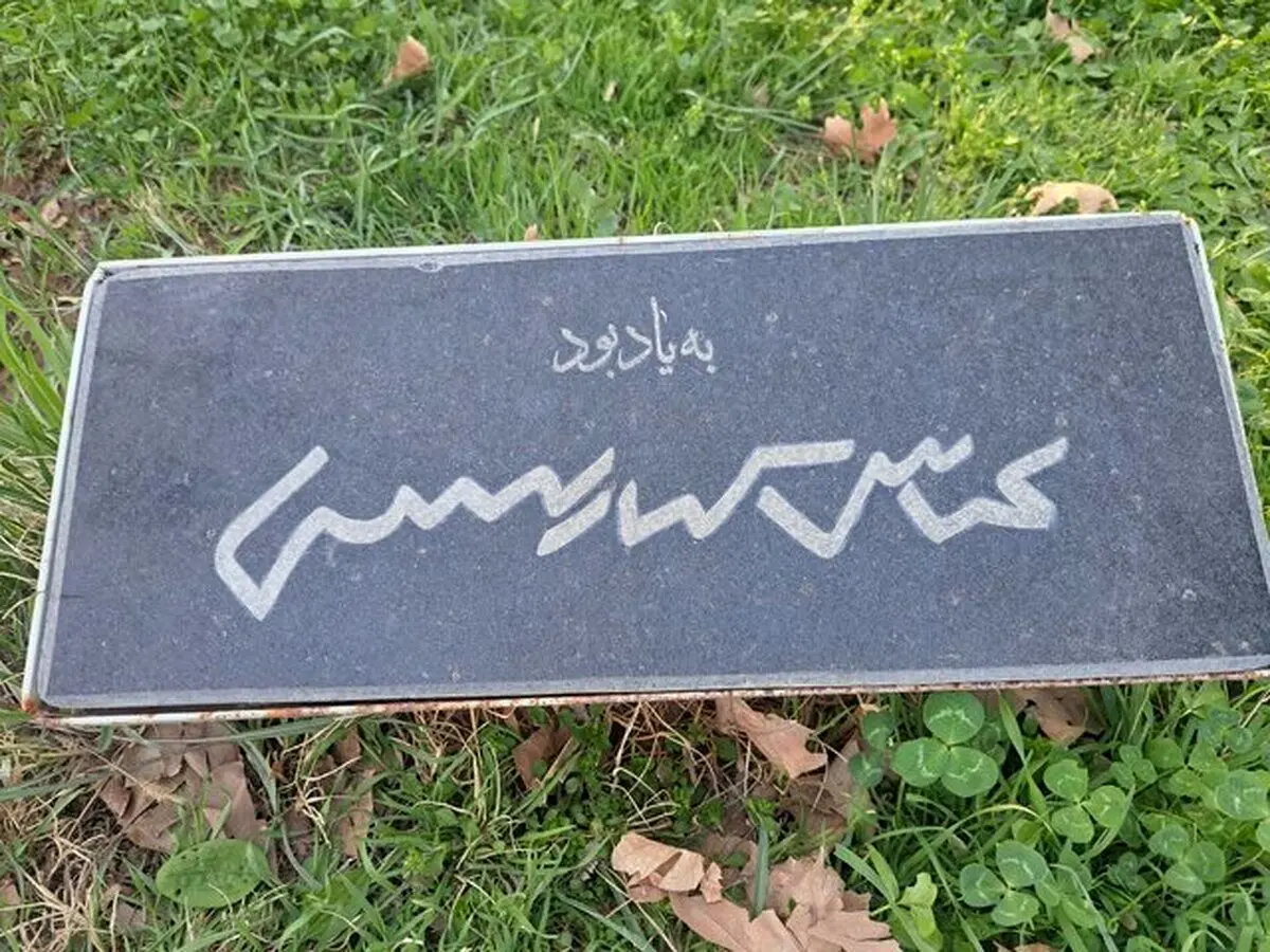 گیلاس کیارستمی چه شد؟!