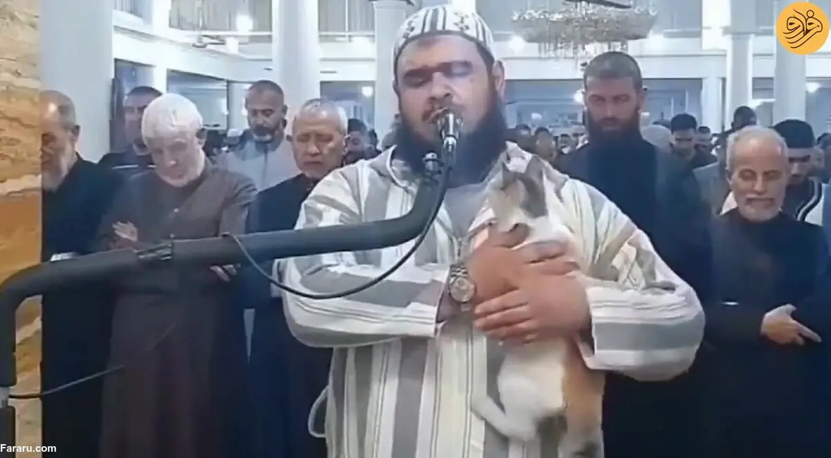(ویدئو) گربه‌ای که روی شانه امام جماعت در نماز رفت!