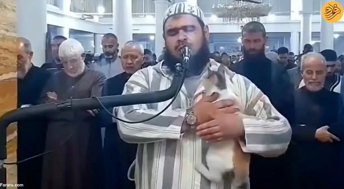 (ویدئو) گربه‌ای که روی شانه امام جماعت در نماز رفت!
