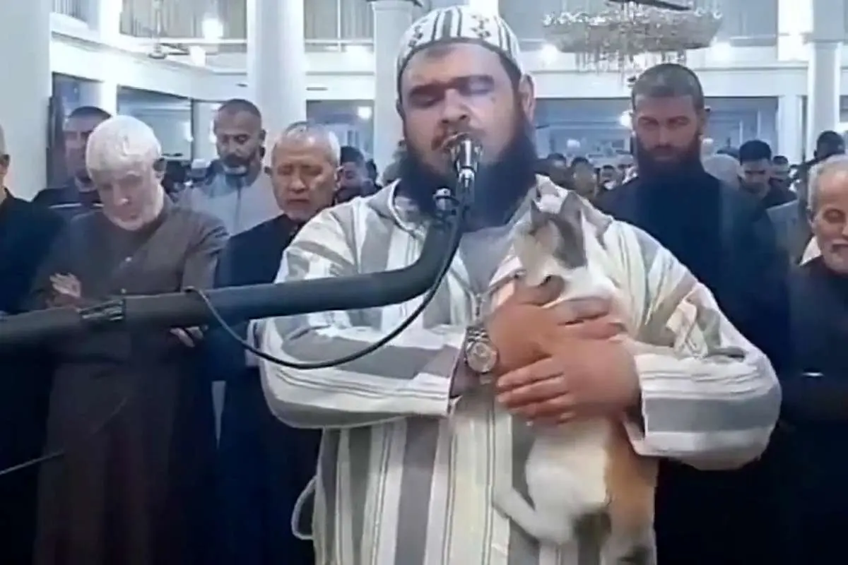 (ویدئو) گربه‌ای که روی شانه امام جماعت در نماز رفت!