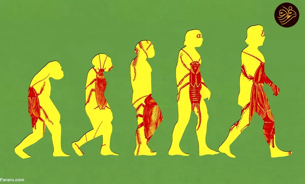 سوسک‌ها دیگر عاشق قند و شکر نیستند / دردسر از راه می‌رسد!