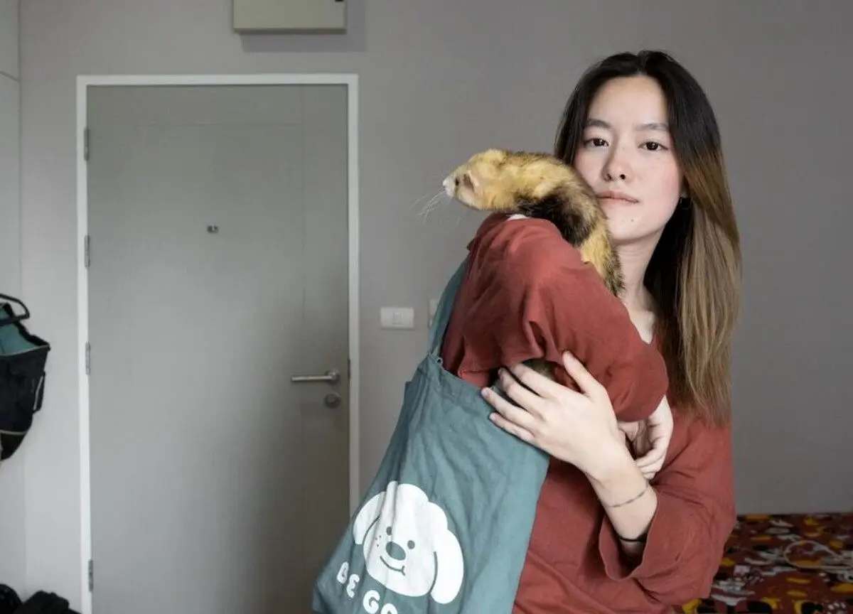 زیستگاه عجیب: تجارت پر رونق حیوانات خانگی عجیب و غریب در تایلند