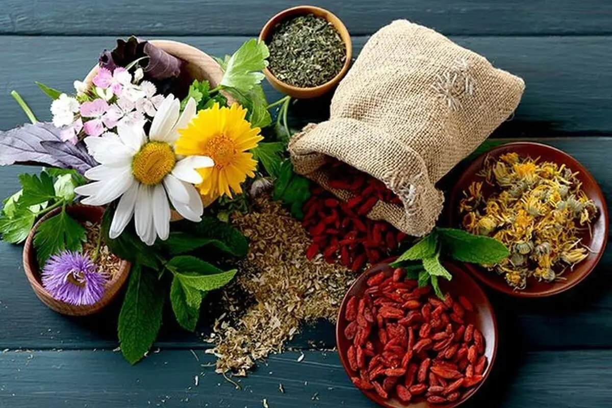 چند تصور اشتباه درباره داروهای گیاهی