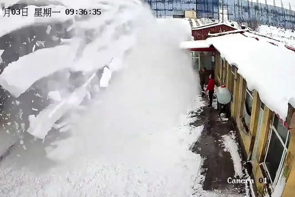 (ویدئو) خوش شانسی دو مرد از دفن شدن زیر برف