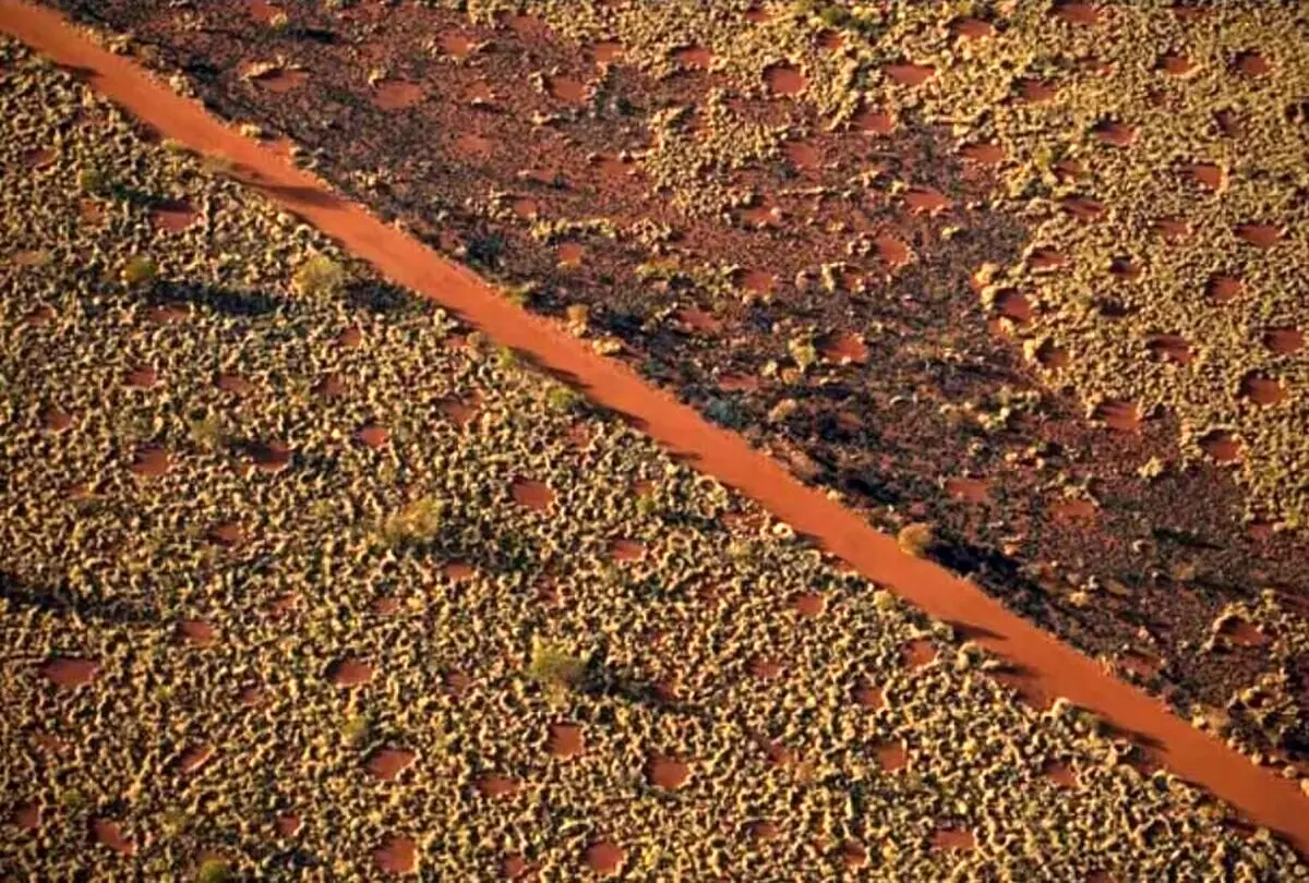 (عکس) رازگشایی از دایره‌های جنی سرزمین بومیان استرالیا!