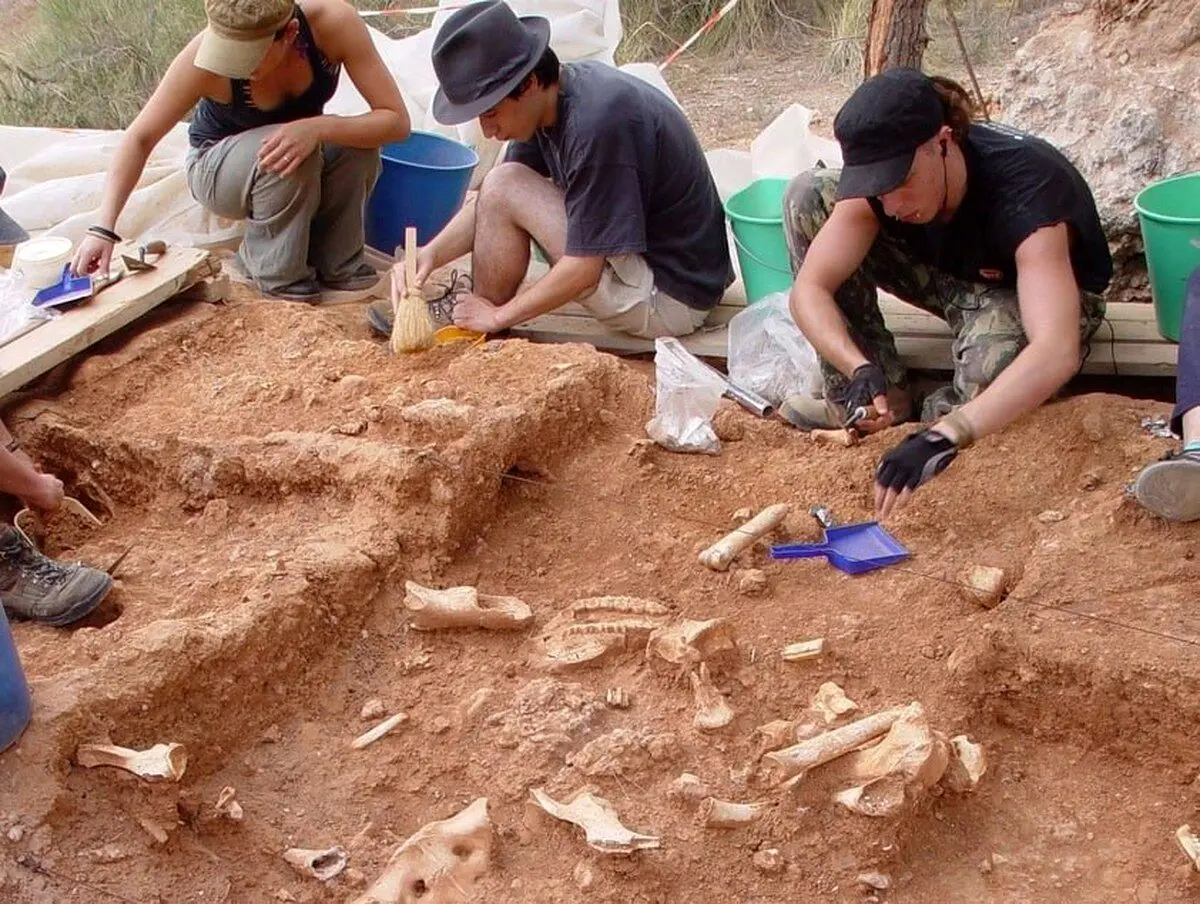 انسان‌ها از چه زمانی لباس‌های خود را دوختند؟