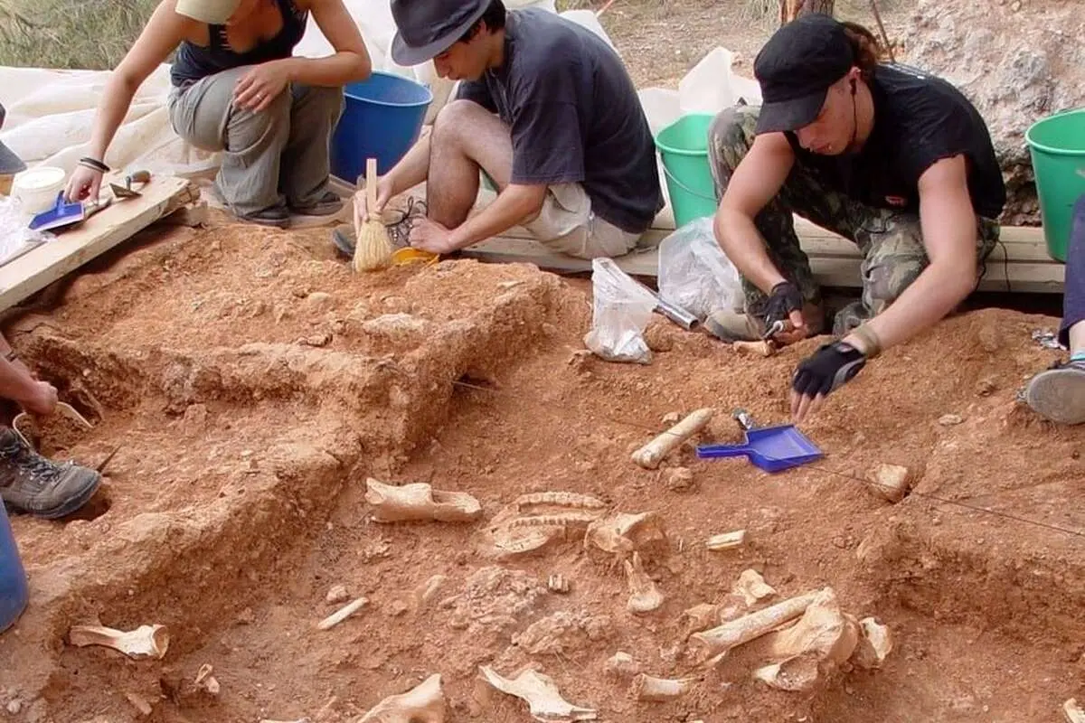 انسان‌ها از چه زمانی لباس‌های خود را دوختند؟