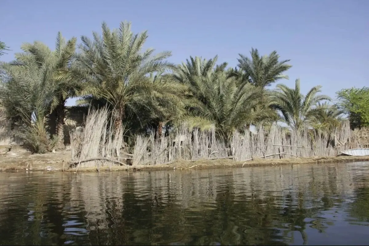 خطر تخریب بیخ گوش محیط زیست