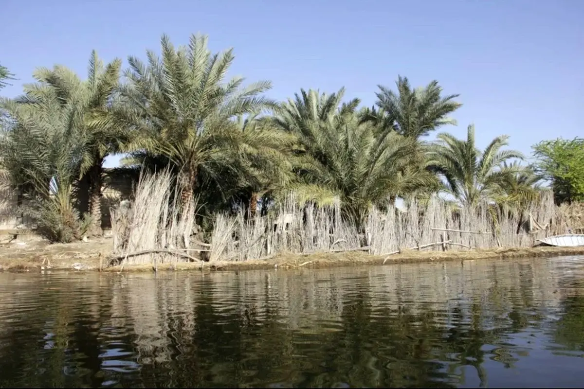 خطر تخریب بیخ گوش محیط زیست