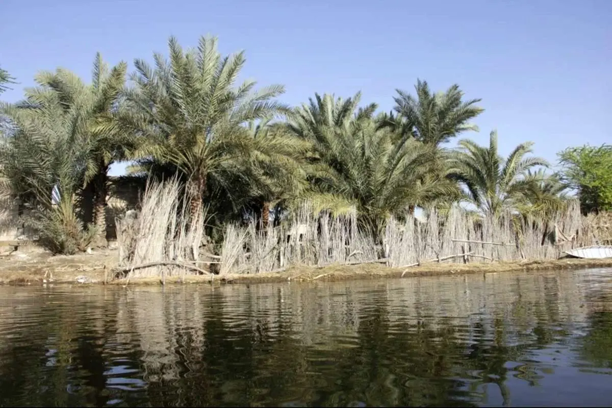 خطر تخریب بیخ گوش محیط زیست