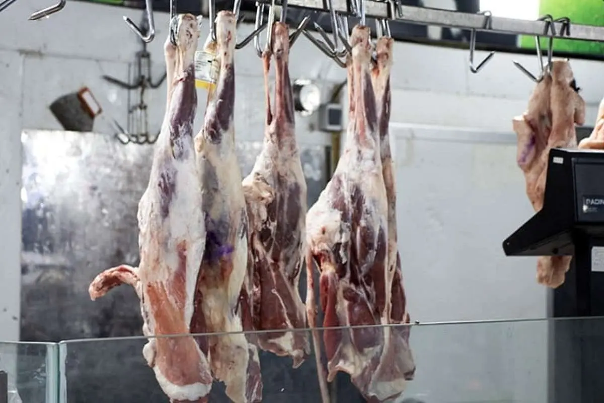 کشف ۳ تن گوشت گراز و خوک در شمال تهران