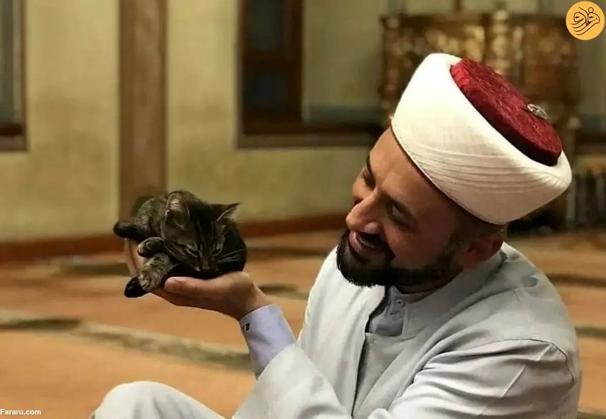 (عکس)  امام جماعتی که درِ مسجد را به روی گربه‌های خیابانی باز کرد