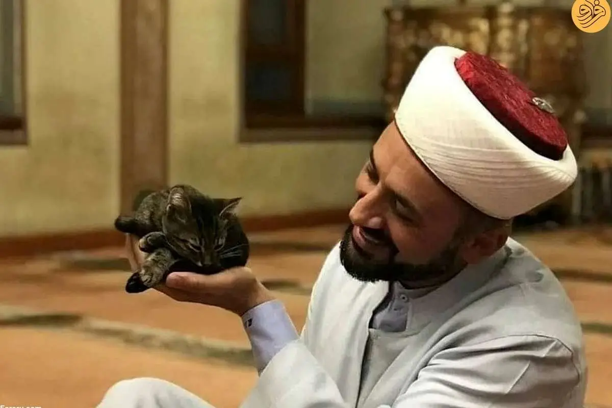 (عکس) امام جماعتی که درِ مسجد را به روی گربههای خیابانی باز کرد