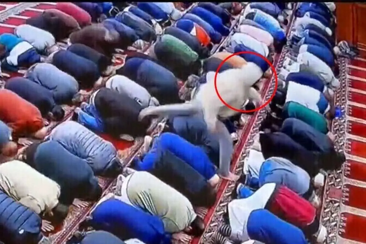 (ویدئو) حمله هولناک نمازگزار به امام جماعت یک مسجد