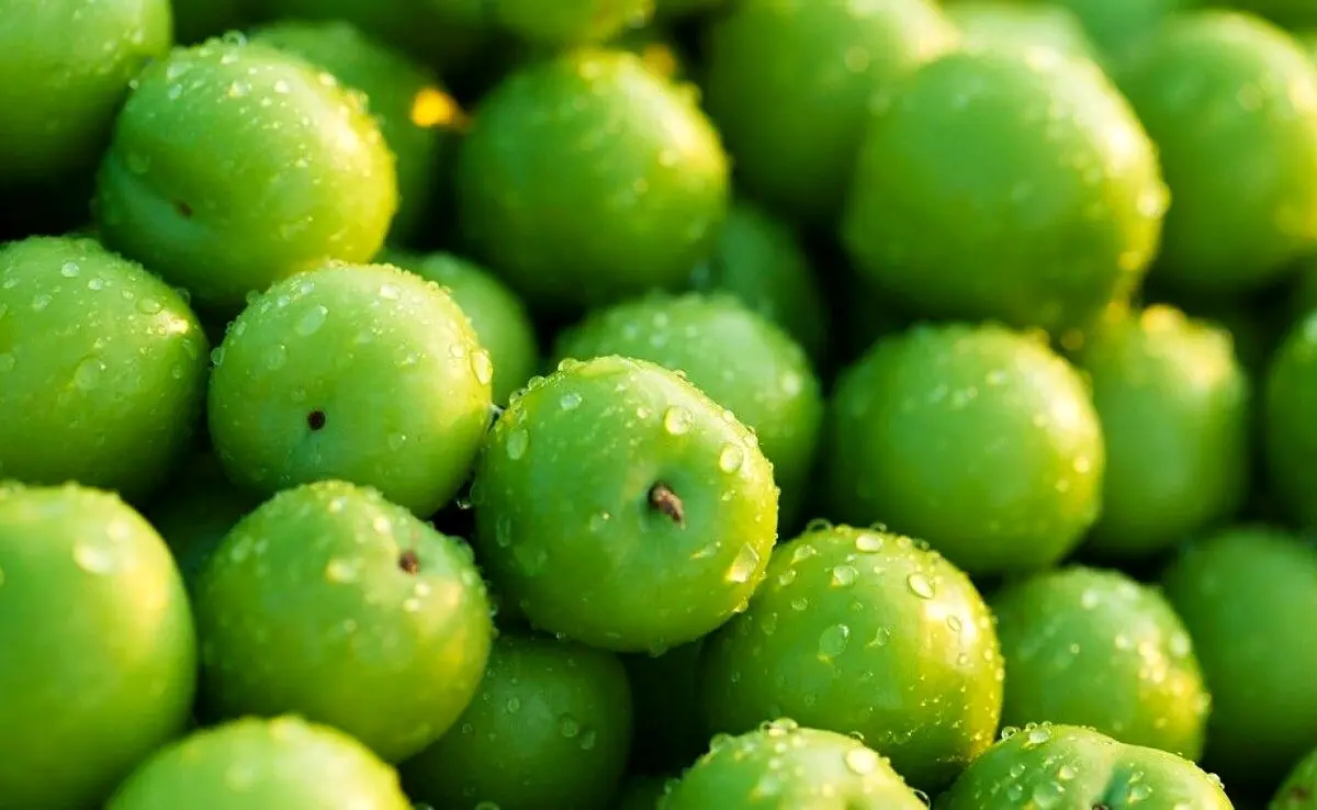 نوبرانه بهار؛ از چغاله بادام ۷۰۰ هزار تومانی و گوجه سبز ۲ میلیون تومانی