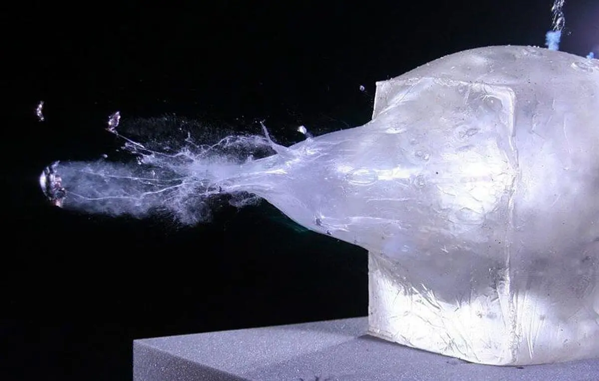 (ویدئو) متلاشی شدن بدن انسان در لحظه برخورد گلوله هویتزر ۱۵۲ میلیمتری