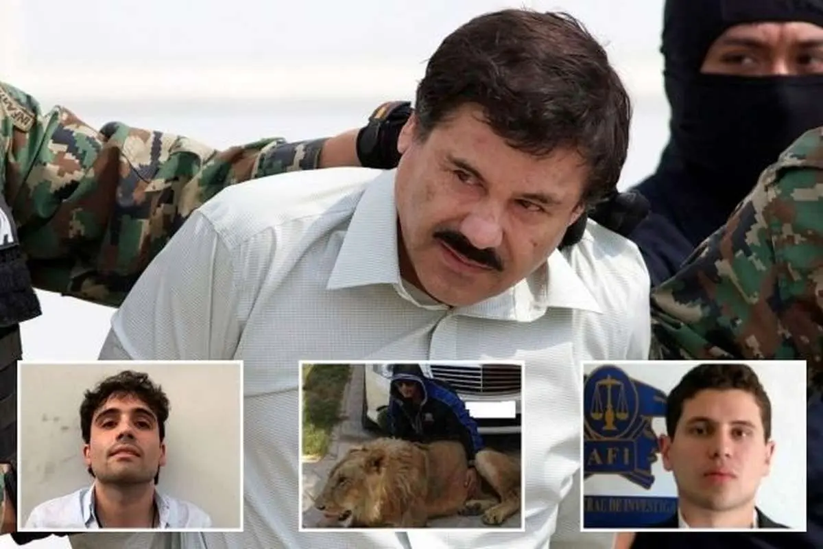 پسران ال چاپو دشمنانشان را غذای ببر‌های خود می‌کردند/سرنوشت فرزندان ال چاپو چه شد؟