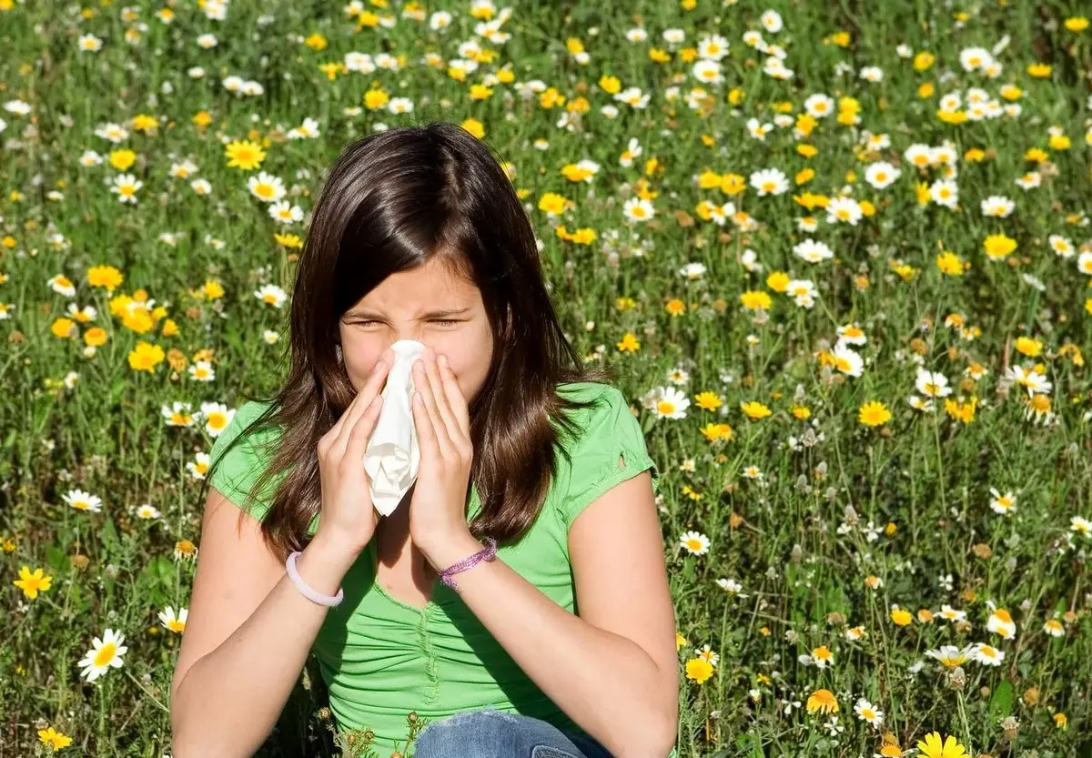 تب یونجه (رینیت آلرژیک)؛ علائم، علل، درمان و پیشگیری