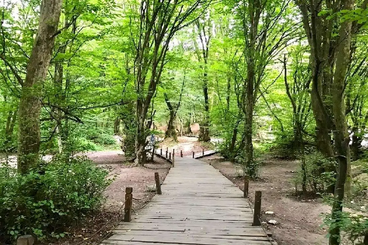 (ویدئو) طنین صدای آرامشبخش یک پرنده در پارک النگدره