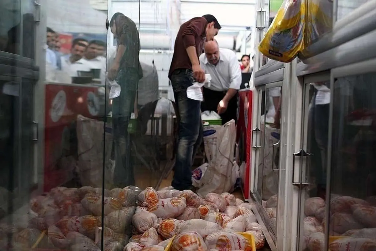 سه پیشبینی از قیمت جدید مرغ