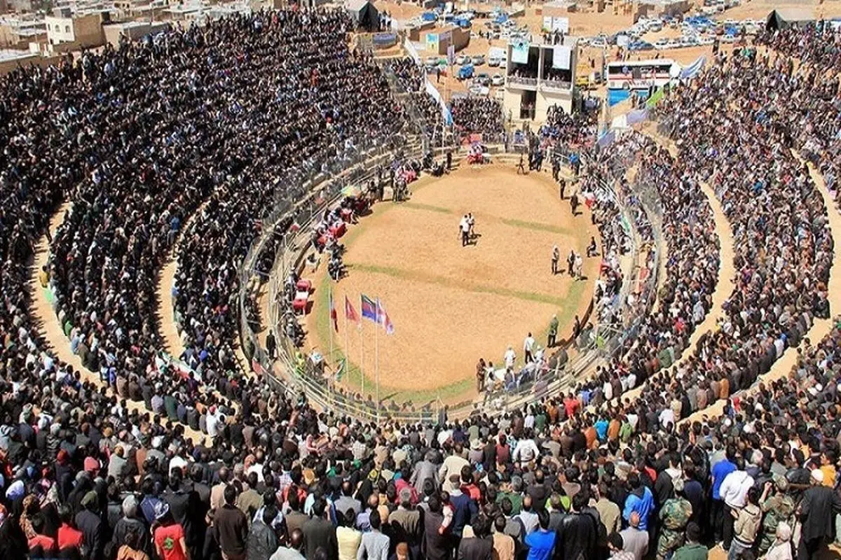 داربی را در گود زینل خان برگزار کنید!