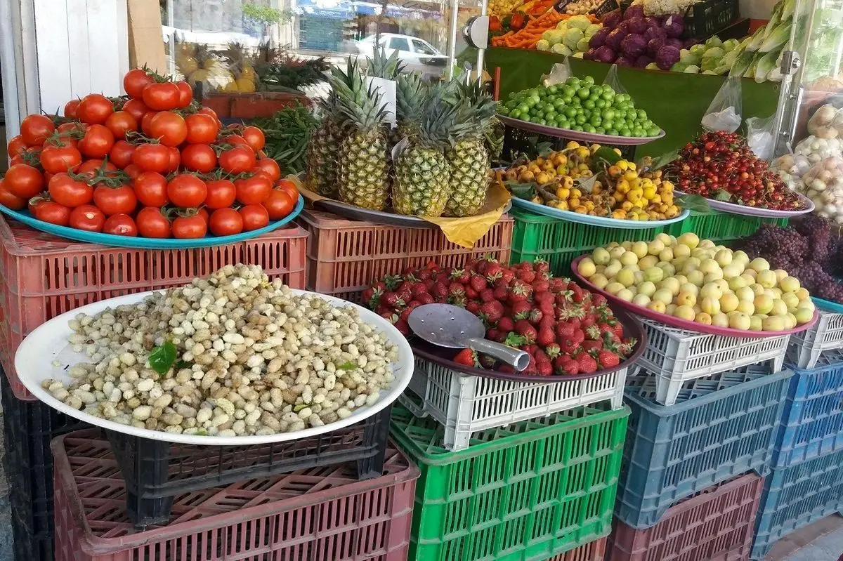 حداکثر اختلاف قیمت میوه از میدان تا خرده فروشی چند درصد است؟