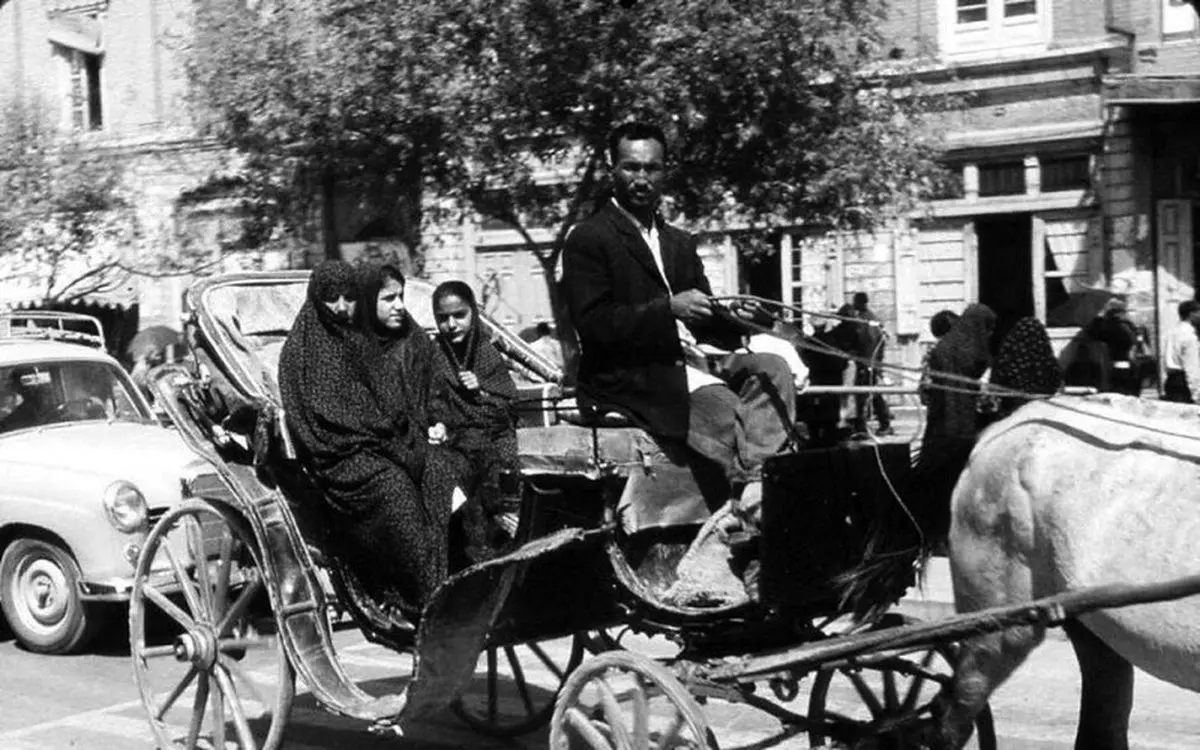 درشکه‌رانی بدون گواهینامه ممنوع!