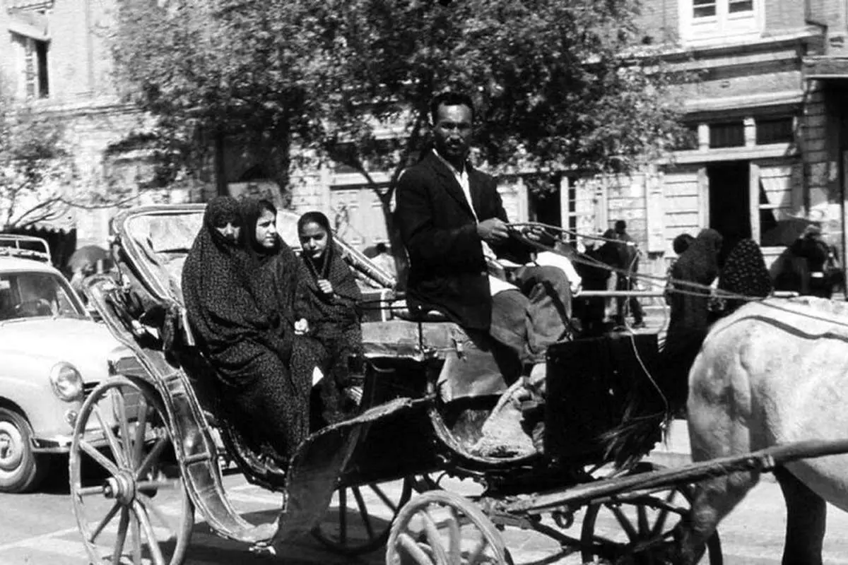 درشکهرانی بدون گواهینامه ممنوع!