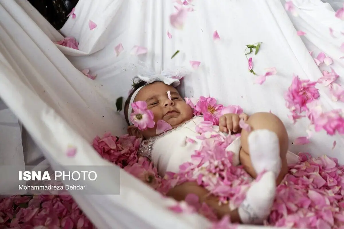 (تصاویر) شهرت جهانی گل و گلاب میمند