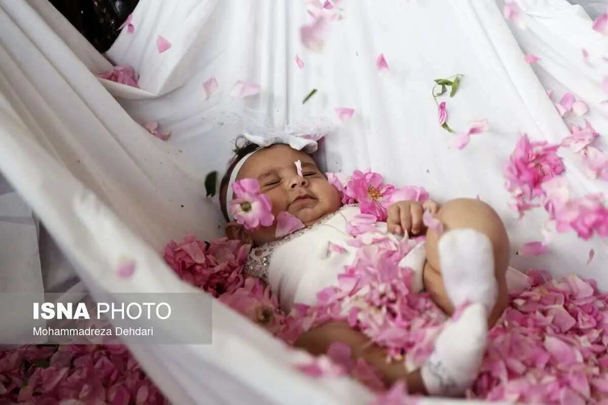 (تصاویر) شهرت جهانی گل و گلاب میمند