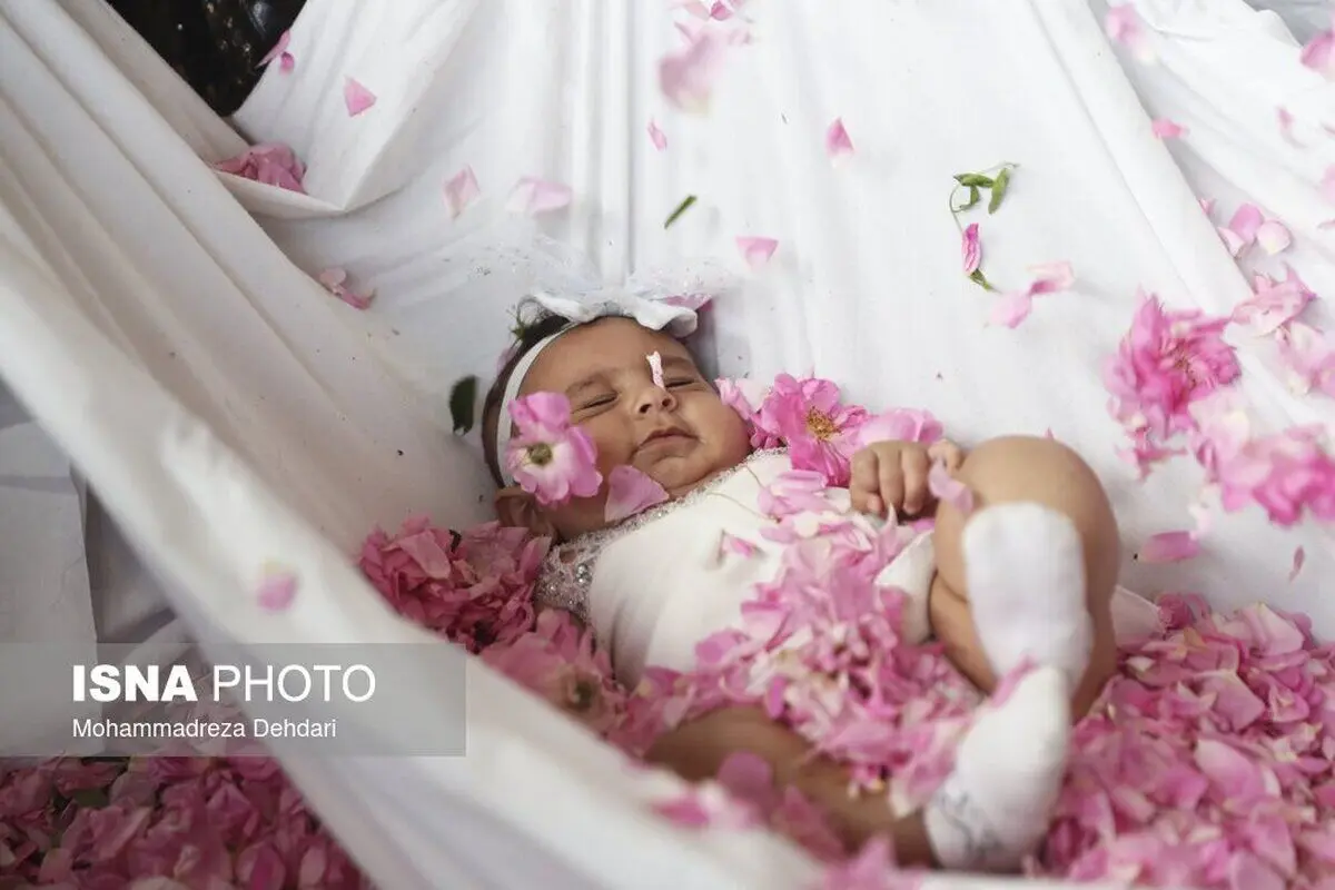 (تصاویر) شهرت جهانی گل و گلاب میمند